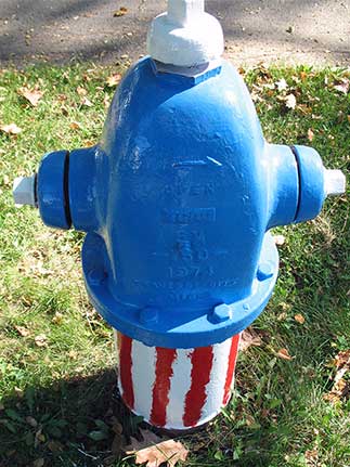 130 S. Michigan - Stars and Stripes